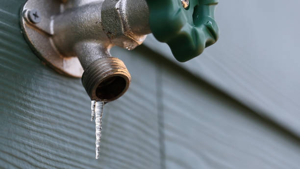 Best Local Plumber Services  in Emeryville, CA